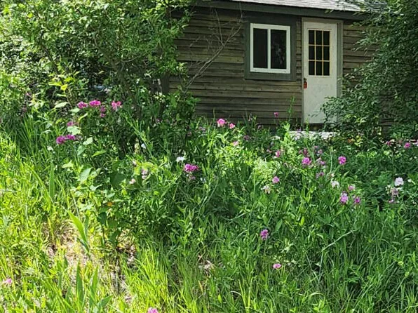11236 Sparr Rd, Johannesburg, MI 49751
