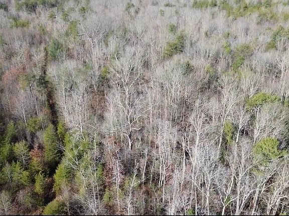 2nd image of 767 Wichser Rd
