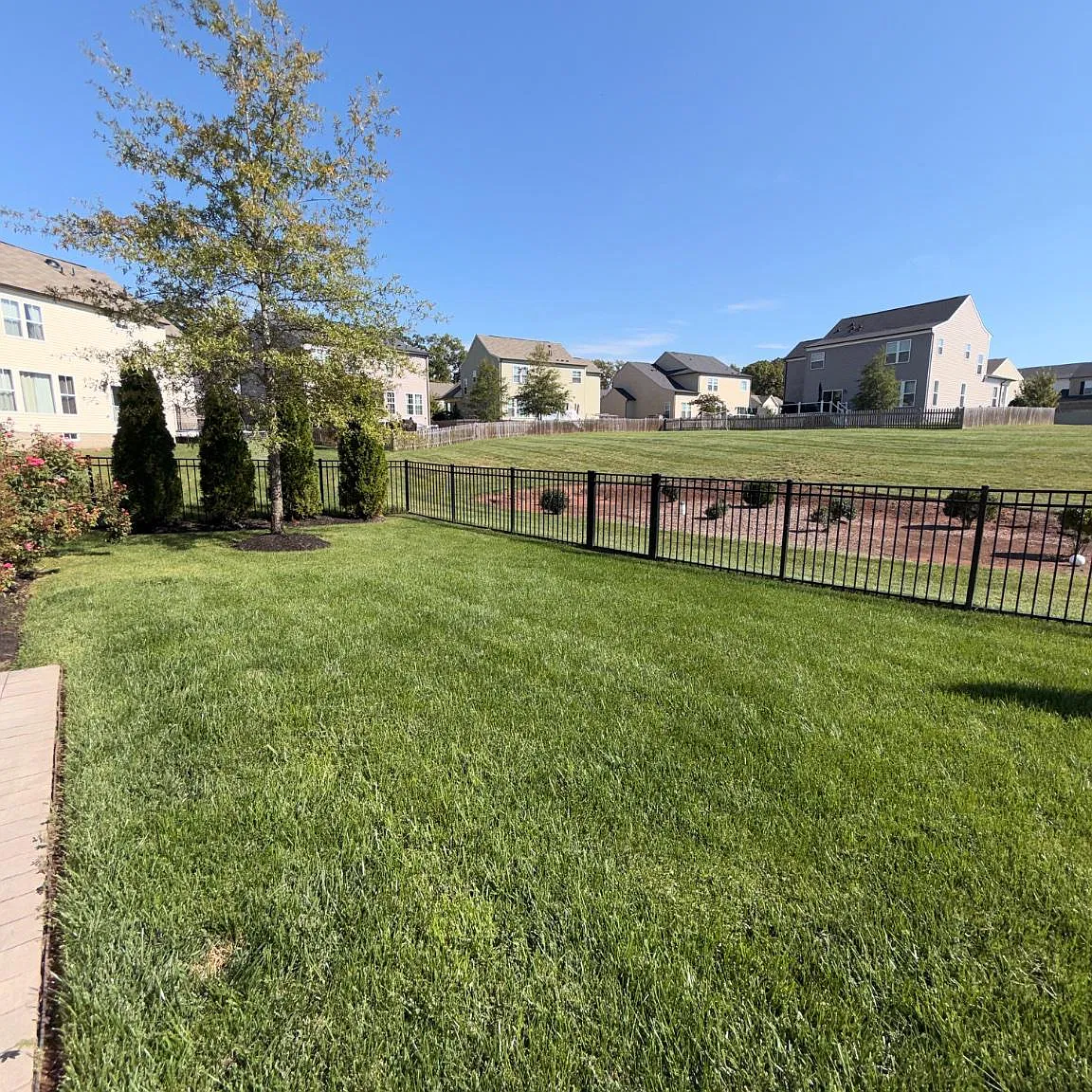 4 bed, 3.5 bath, 3639 sqft, $4,800 — Photo 4
