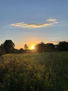 Cherrywood Ct, Sister Bay, WI, 54234