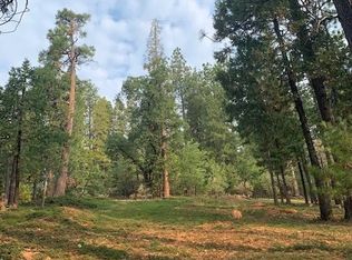 2228 Grace Ct, Arnold, CA 95223