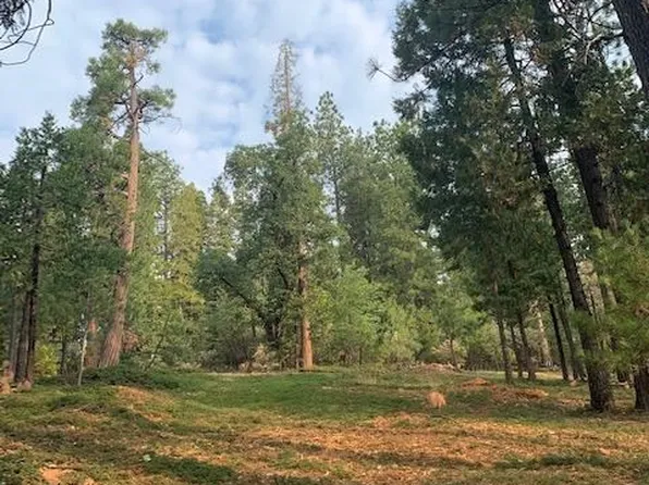 2228 Grace Ct, Arnold, CA 95223