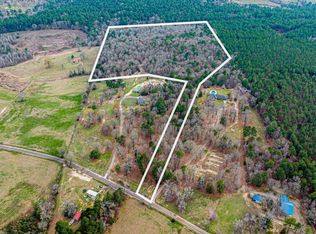 13600 Smilax Rd, Diana, TX 75640