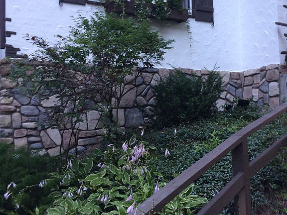 Front garden and walkway