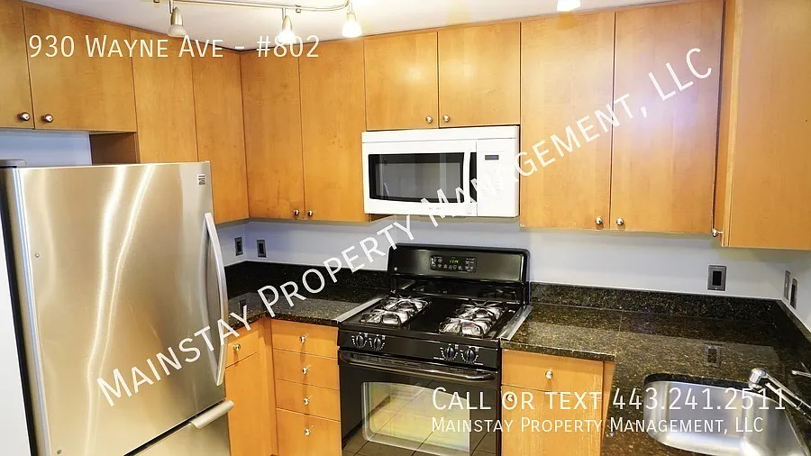 1 Bedroom Condo in Downtown Silver Spring! — Photo 3