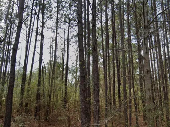 0 Orange Blossom St, Andrews, SC 29510