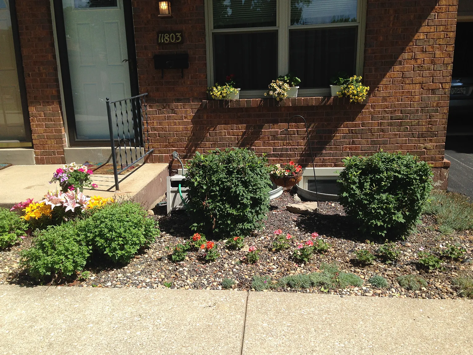 11803 Toulouse Ct photo 1
