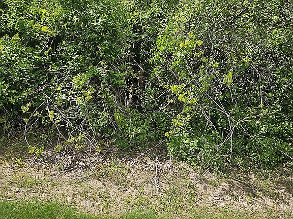 Northeast corner stake
