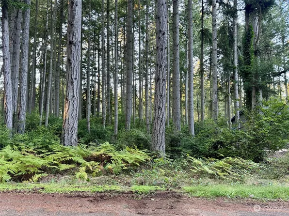 11123 110th Street, Anderson Island, WA 98303