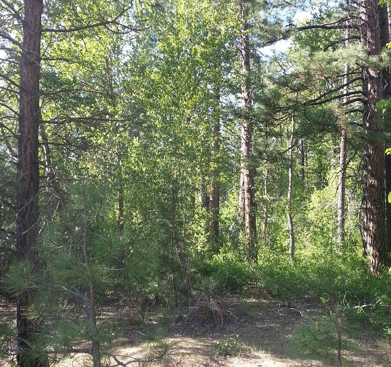 2nd image of State Route 970