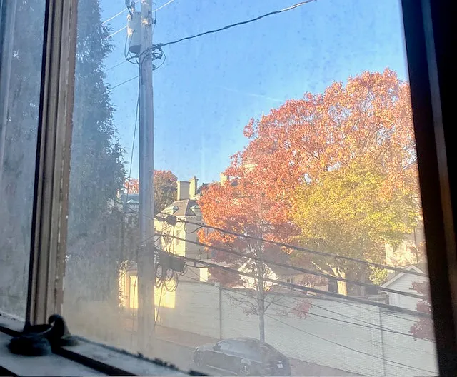 163 King George Street Studio Apartment with Leafy View over USNA - 30 second walk to Gate 1 - 163 King George St #3