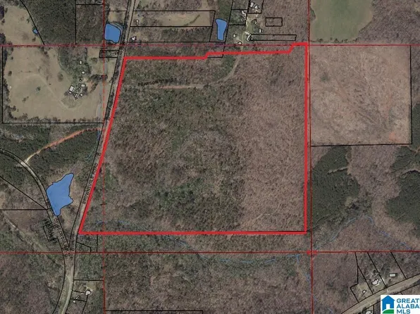 0 Brownsville St #0, Goodwater, AL 35072