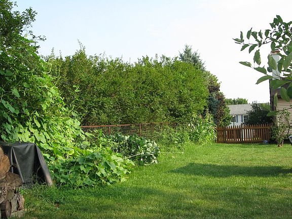 Garden, Chainlink fencing and handmade wood fencing on either side of home