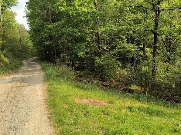 Ash Clove Road, Roscoe, NY 13783