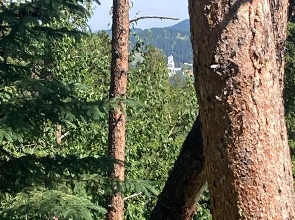 Tbd Wasp Rd, Lead, SD 57754