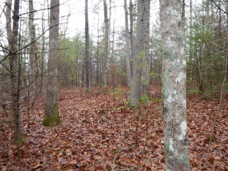 1st image of 3 Grace Ln Lot 27