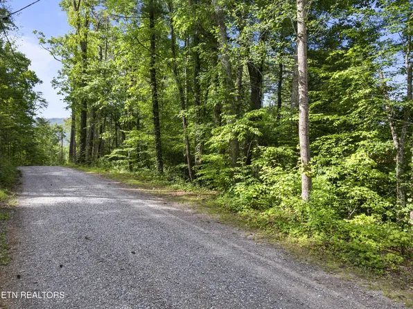 0 Grouse Top Rd Lot 3, Walland, TN 37886