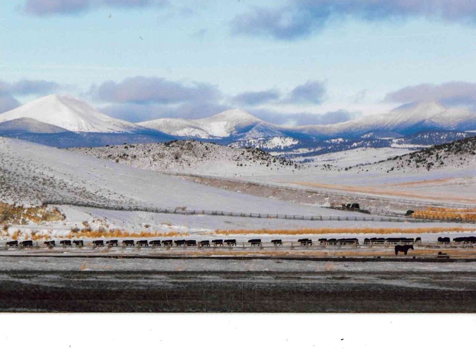 2nd image of 167 Pronghorn Ln