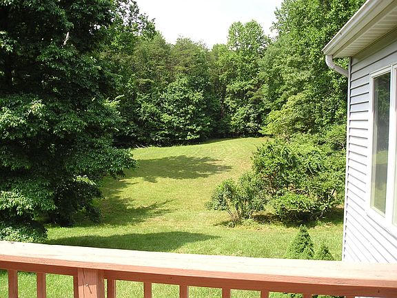 View of the back yard