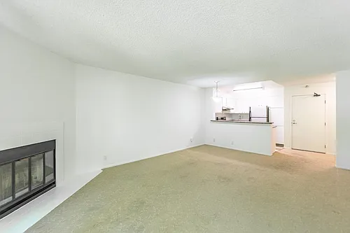 39029 Guardino Dr #217 Photo 1