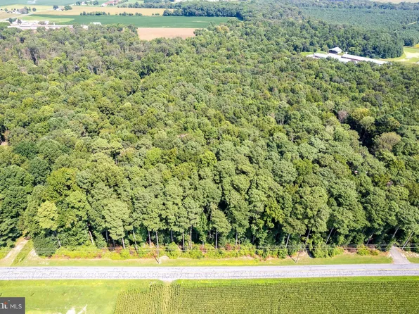 LOT 1 Woodbridge Rd, Greenwood, DE 19950