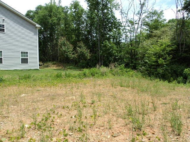 2nd image of 91 Farmer St