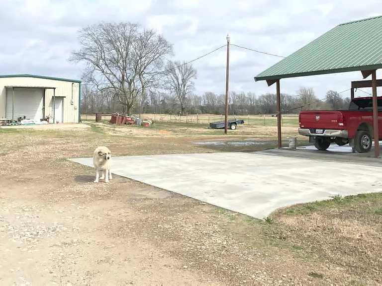 497 County Road 4507 — Photo 14