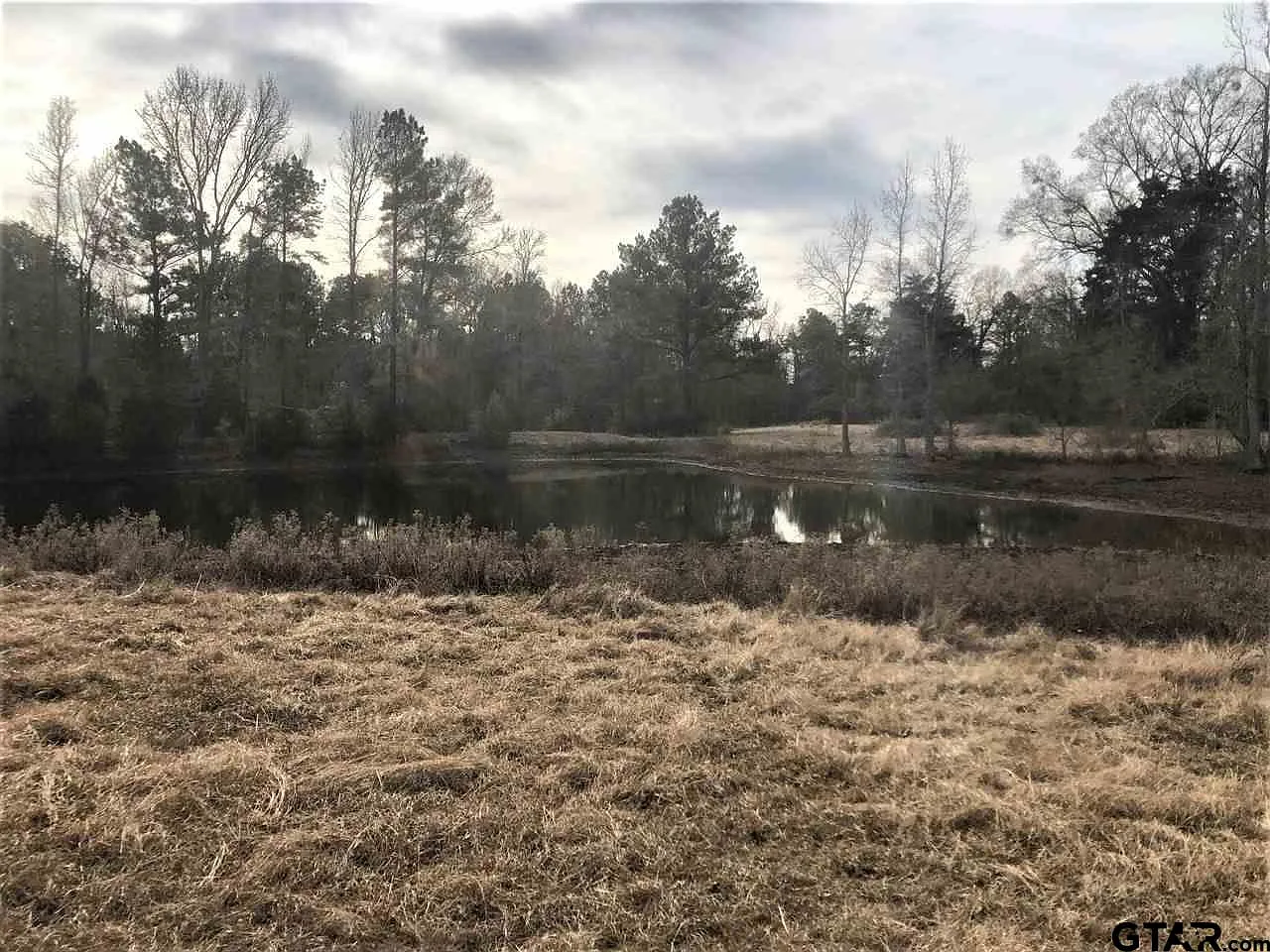 County Road 2124 photo 1