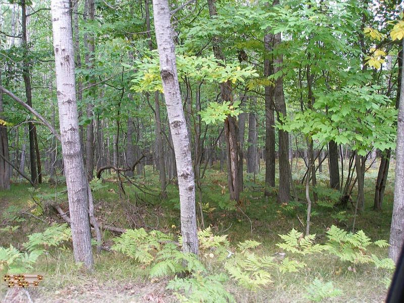 1st image of 6802 White Pine Dr #23