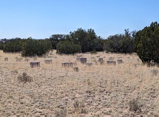 LOT 362 Red Sky Rnch, Saint Johns, AZ 85936