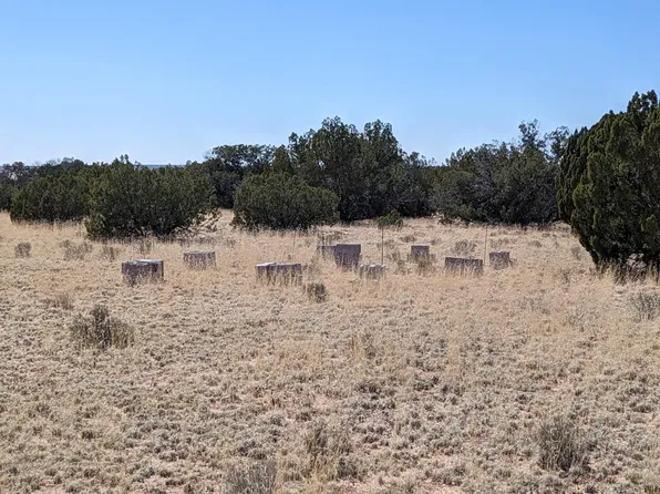 LOT 362 Red Sky Rnch, Saint Johns, AZ 85936