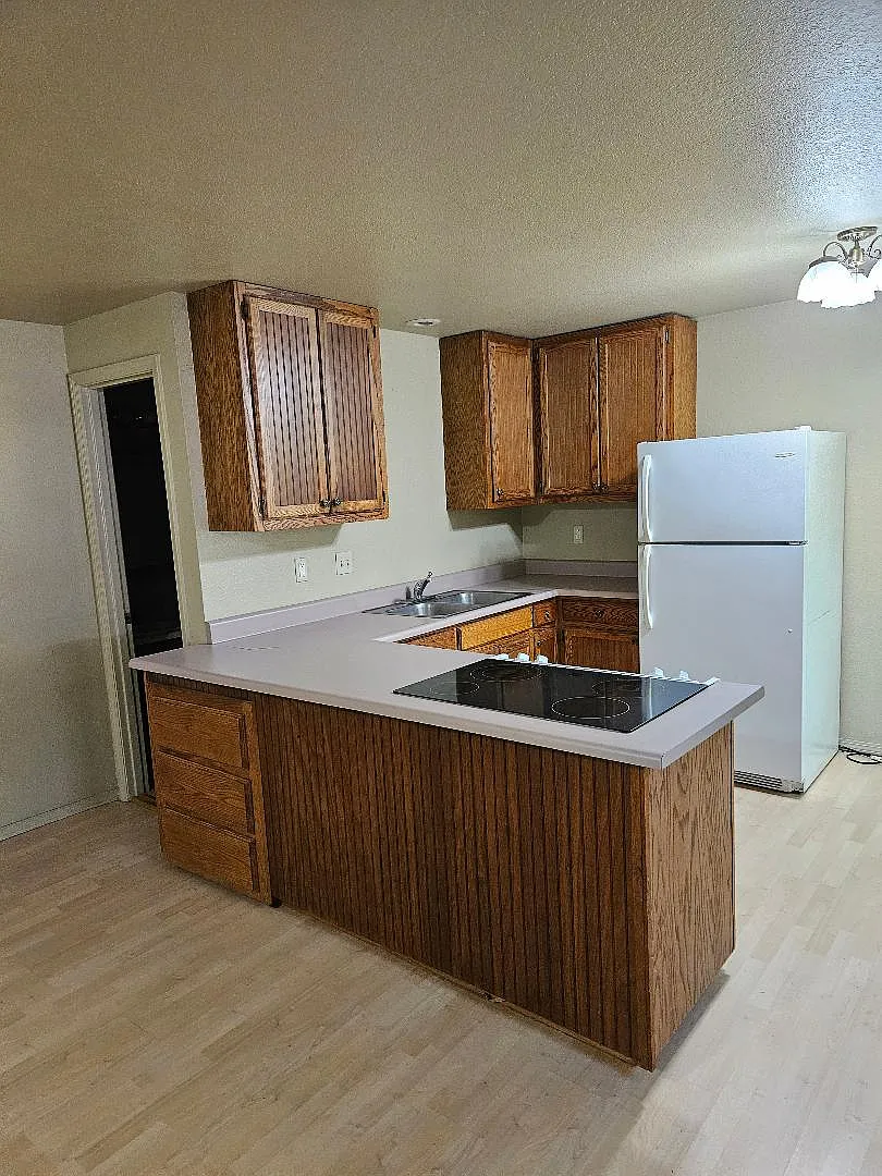 Studio, $1,250 — Photo 1
