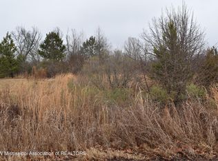 105 Oakhill Cv, Coldwater, MS 38618