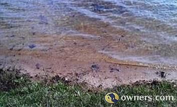 Sand Lake is extremely clear 'ALL Year'.