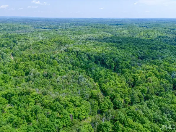 6881 Dunham Road Usfs Rd #6, Marenisco, MI 49947