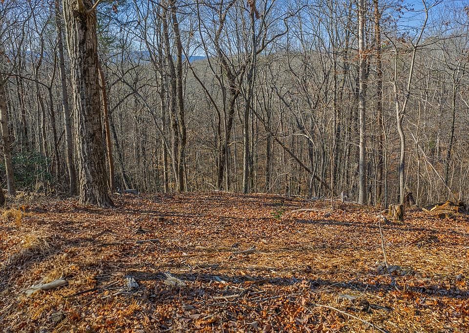 1st image of 40 Timberwalk Est