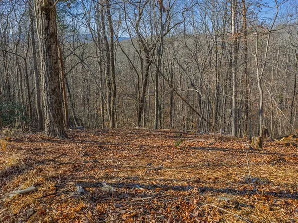 40 Timberwalk Est, Ellijay, GA 30540