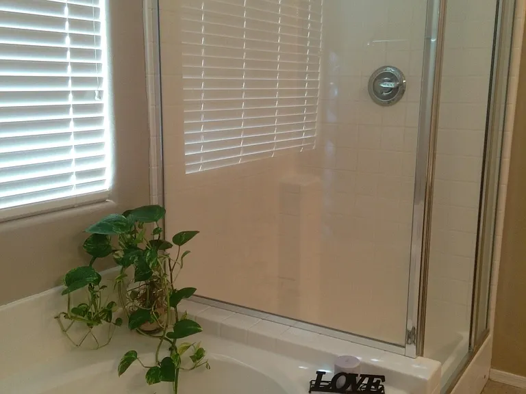master bath shower and garden tub