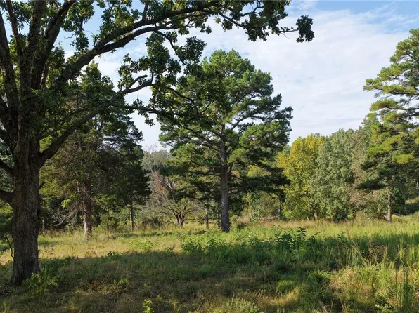 Wilson Springs Rd, Harrison, AR 72601