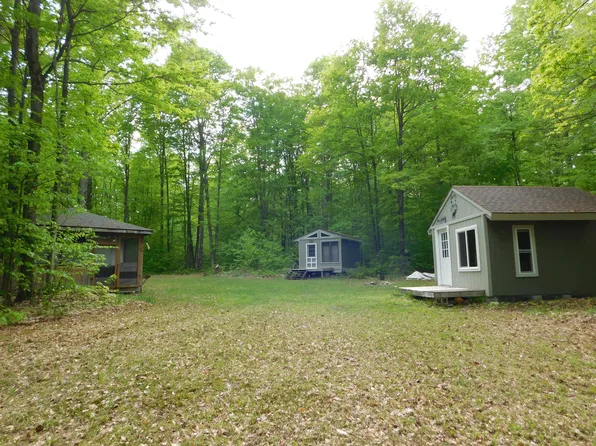 Buck Trl, Frederic, MI 49733