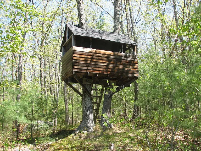 Tree house in backyard