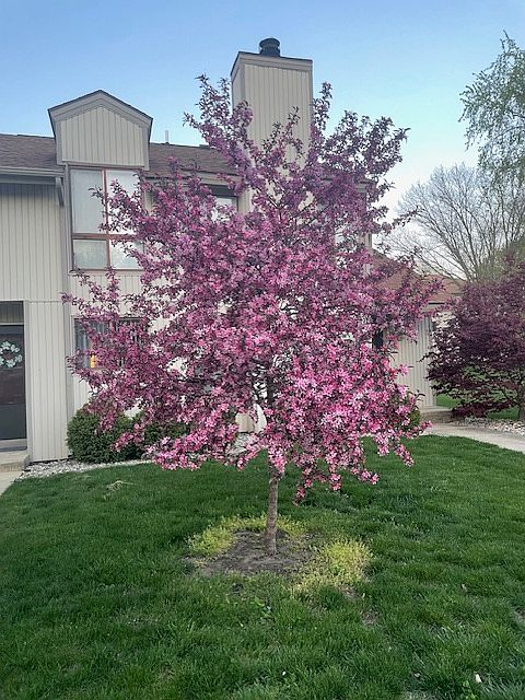 Front of Townhouse in Spring
