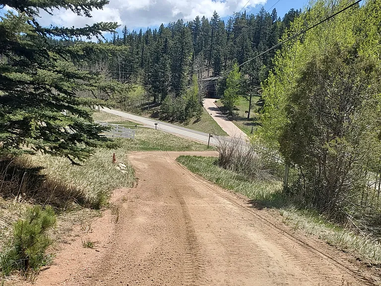 2033 Rampart Range Rd — Photo 47