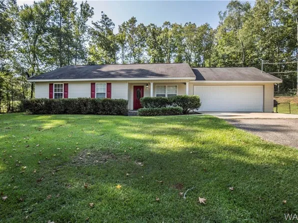 14317 Lock 9 Rd, Fosters, AL 35463
