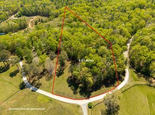 3 Spring Camp Rd, Ellijay, GA 30536