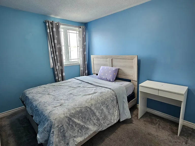 255 Catamount Ct — Photo 17