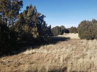 8508 Cannon Blvd, Show Low, AZ 85901