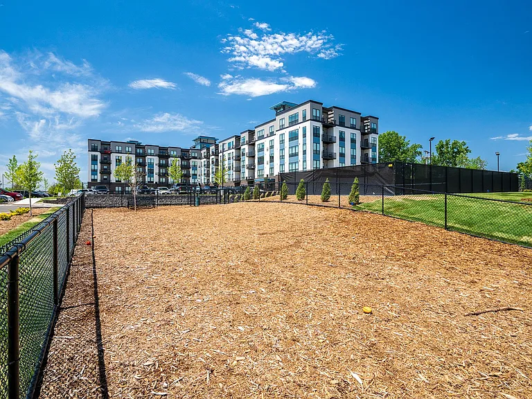 The Isaac Apartments — Photo 43