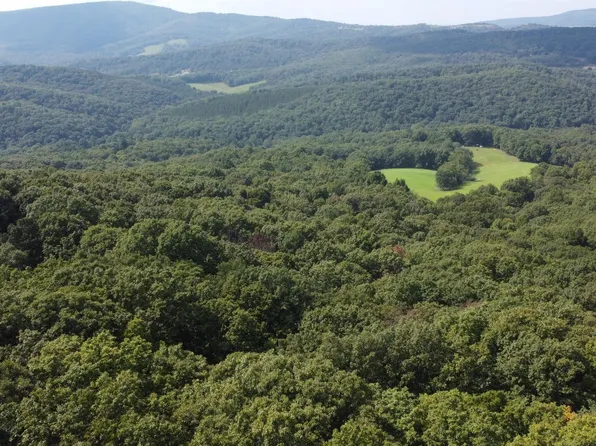 LOT-24A & 24b Cove Crk, Baker, WV 26801