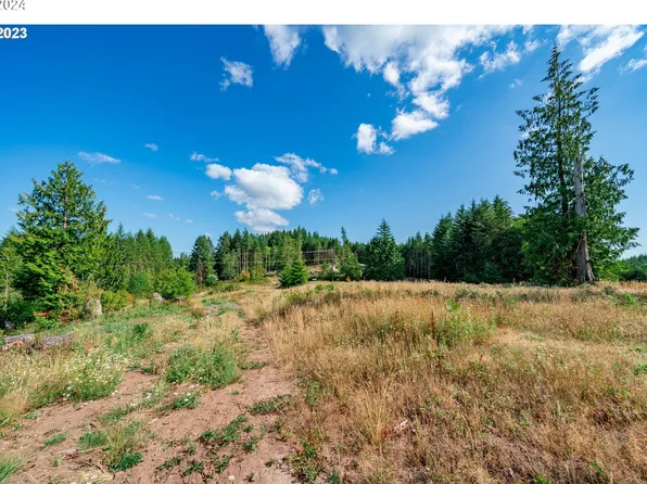 0 Silver Lake #8, Castle Rock, WA 98611